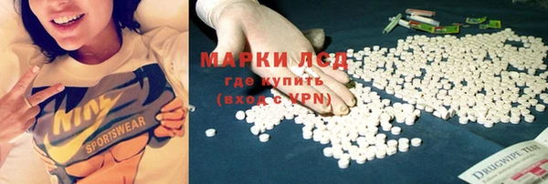 дживик Магас